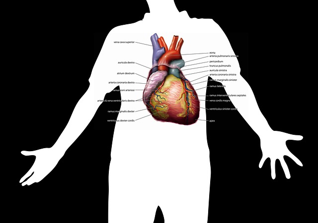 5 things to consider while choosing a hospital for heart treatments